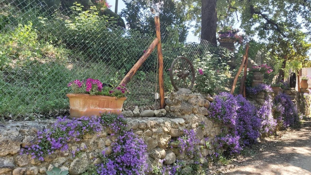 La Limonaia Country House Monteriggioni Exterior foto